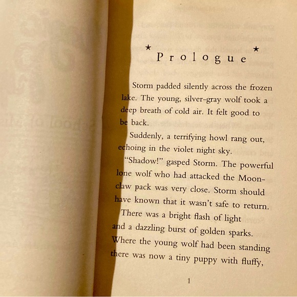 Magic Puppy: School of Mischief 
by Sue Bentley - Picture 3 of 4